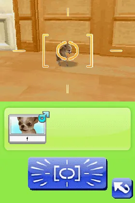 Petz - My Puppy Family (Europe) (En,Fr,De,Es,It,Nl,Sv,No,Da) screen shot game playing